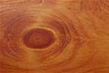 213 Cinnamon stain on wood