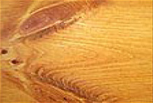222 Harvest Gold stain on wood