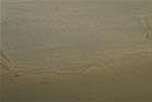 233 Cape Cod Gray stain on wood